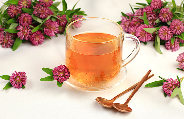 Red Clover Tea